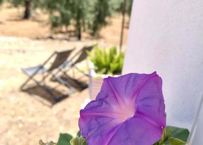Villa Meridiana Al Mare Mattinata