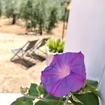 Villa Meridiana Al Mare Mattinata