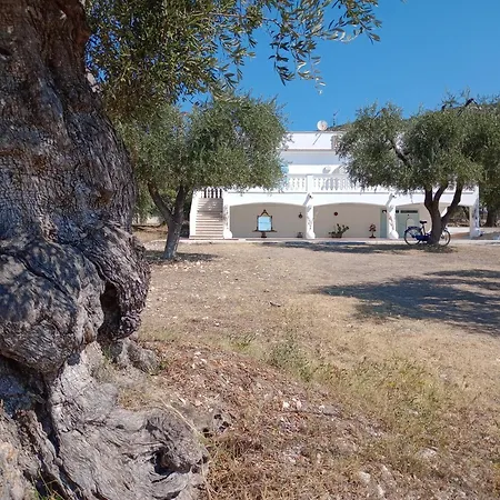 Meridiana Al Mare Vila *