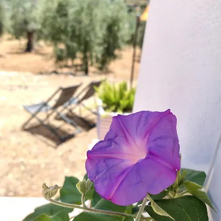 Vila Meridiana Al Mare Mattinata